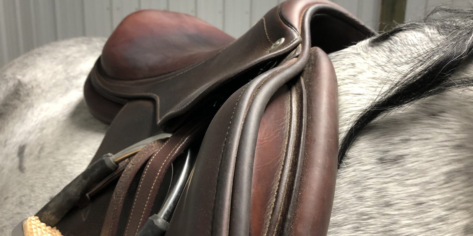 Saddle Fitting