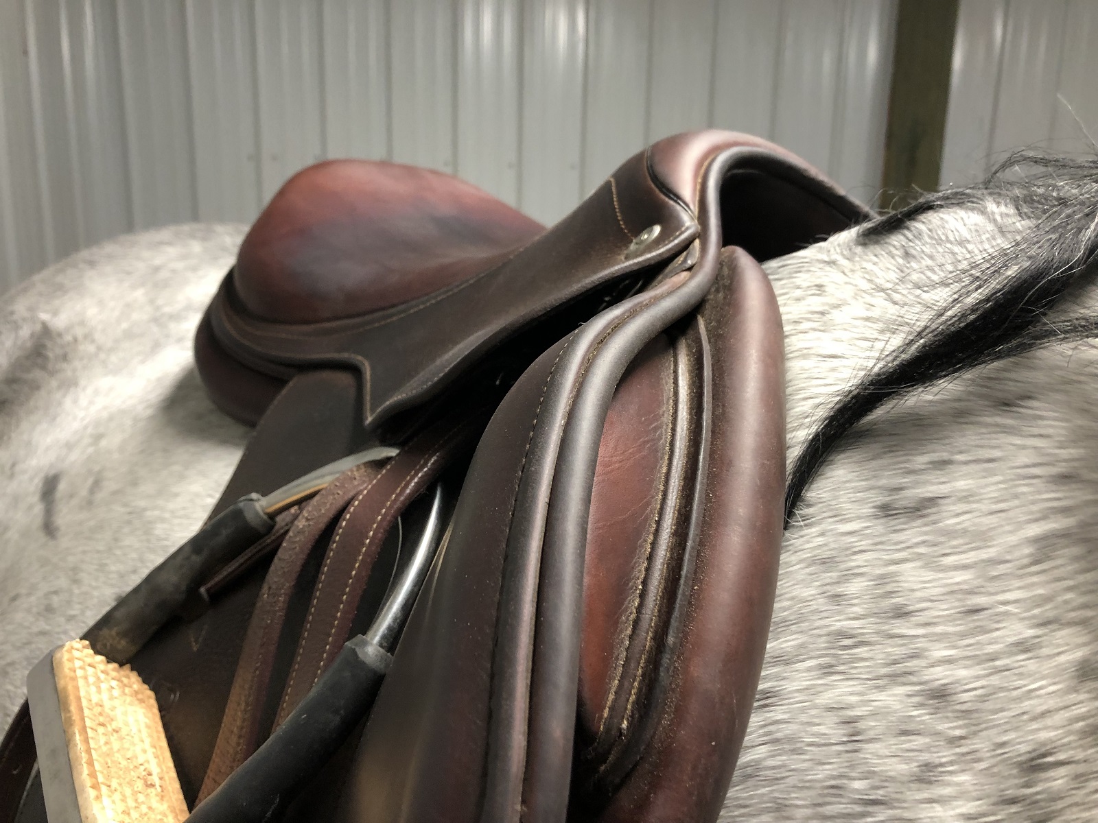 Saddle Fitting